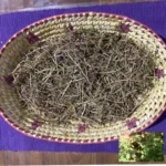 Dried Balloon Vine Cardiospermum Halicacabum Leaves Plant Ceylon Tea Karnasphota