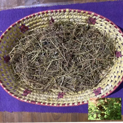 Dried Balloon Vine Cardiospermum Halicacabum Leaves Plant Ceylon Tea Karnasphota