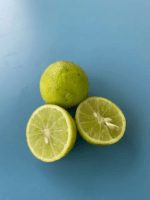 Rare Key Lime Seeds Citrus Aurantifolia 20+ Seeds (Ceylon Farm) - Image 6
