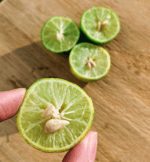 Rare Key Lime Seeds Citrus Aurantifolia 20+ Seeds (Ceylon Farm) - Image 7
