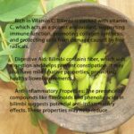 Averrhoa Bilimbi Seeds 95% Germinating Proven Cucumber 12 seeds - Image 4