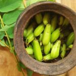 Averrhoa Bilimbi Seeds 95% Germinating Proven Cucumber 12 seeds - Image 10