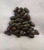 Erythrina Variegata Seeds