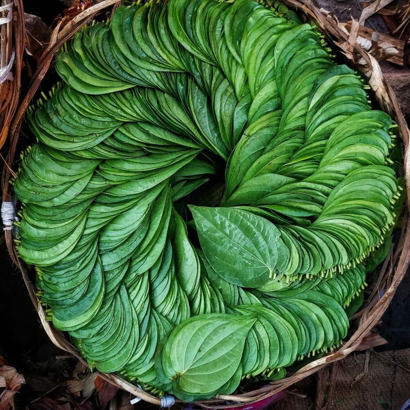 Trust is First 20 betel leaves