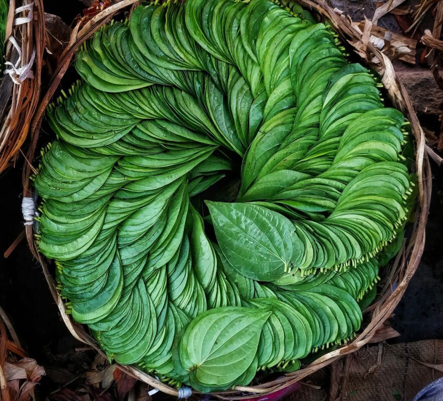 betel leaves