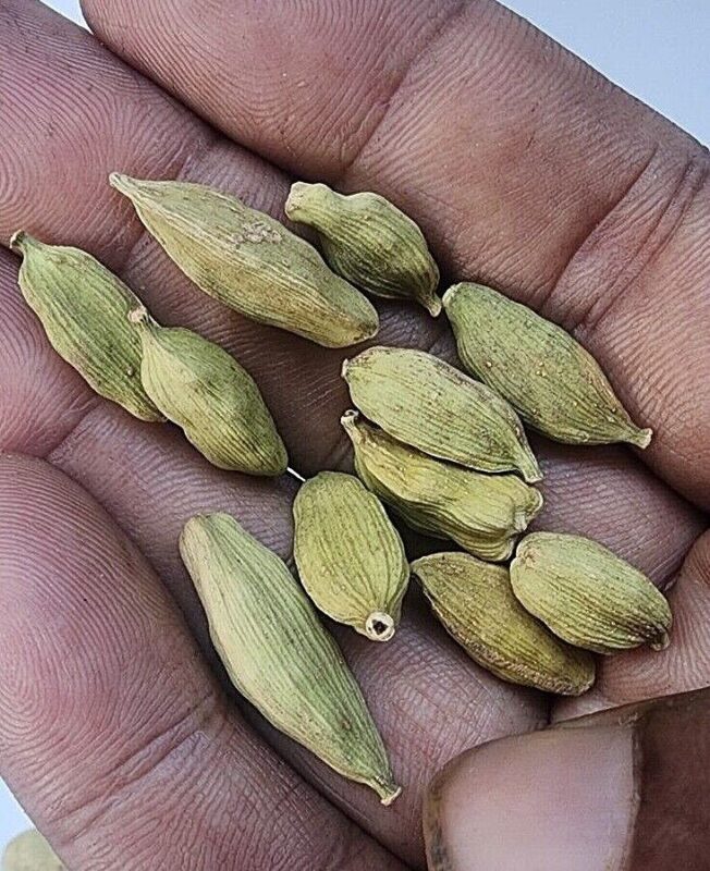 Cardamom 