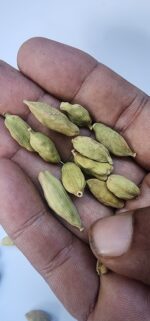 Cardamom Pods