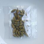 Cardamom Pods