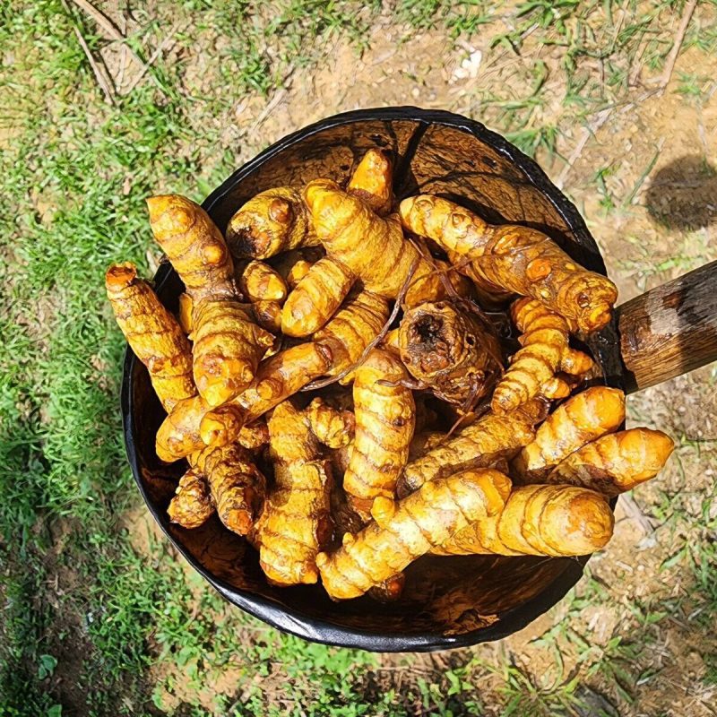 Trust is First 6 ginger powder