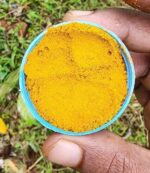 Turmeric Powder