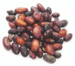 Natural Erythrina Variegata Leaves Dry Leaf 100pcs food tiger's claw Coral Plant - Image 8