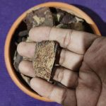 Jamun Syzygium Cumini