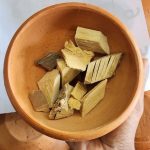 Stereospermum chelonoides