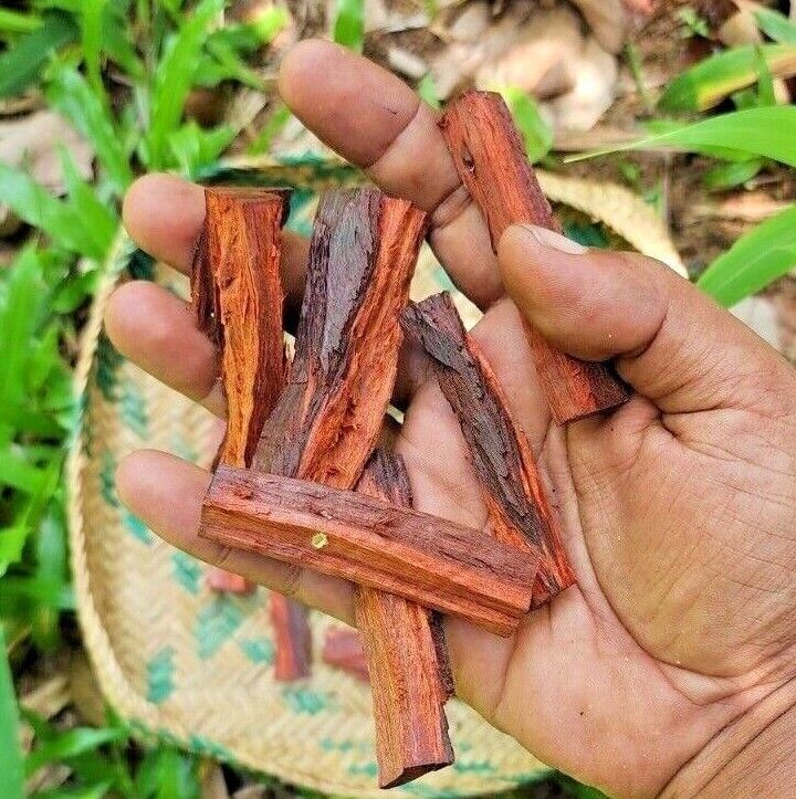 Red Sandalwood