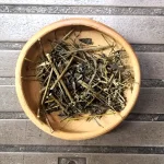 Indigofera tinctoria