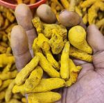 Turmeric Root