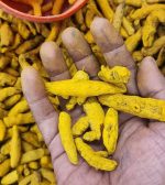 Turmeric Cuts
