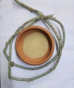 Organic Heart Leaved Mooseed Tinospora cordifolia Stem Roots Cuts Giloy Gudichi - Image 3