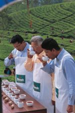 Dilmah Ceylon Tea Premium Quality  50 Bags - Image 2