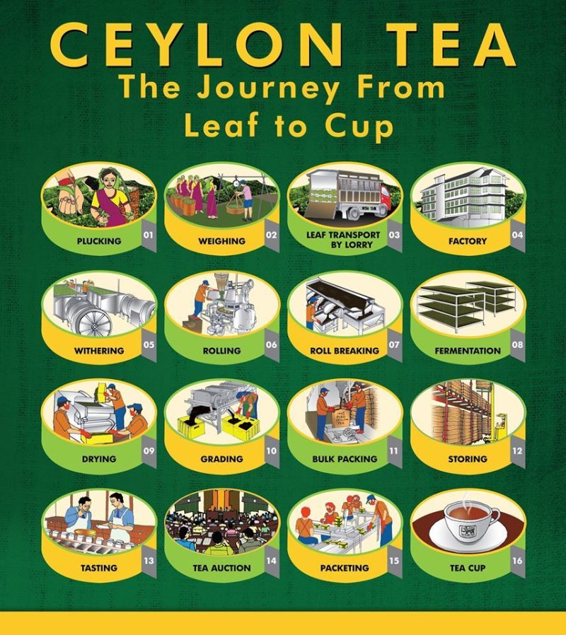 Dilmah Ceylon Tea Premium Quality  50 Bags - Image 3