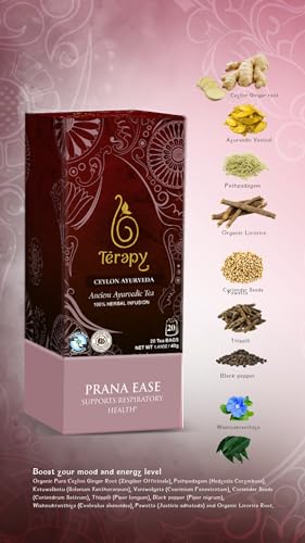 Version 1.0.0 Térapy Ceylon Prana Ease | CAFFEINE FREE Tea Bags | All Natural Herbal Ingredients | Individually Wrapped Eco-friendly & Unbleached Pure Herb Tea Bags - 20 Count : Grocery & Gourmet Food - Image 3